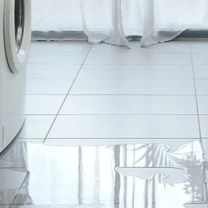 Appliance Leak Cleanup in Howard City, MI