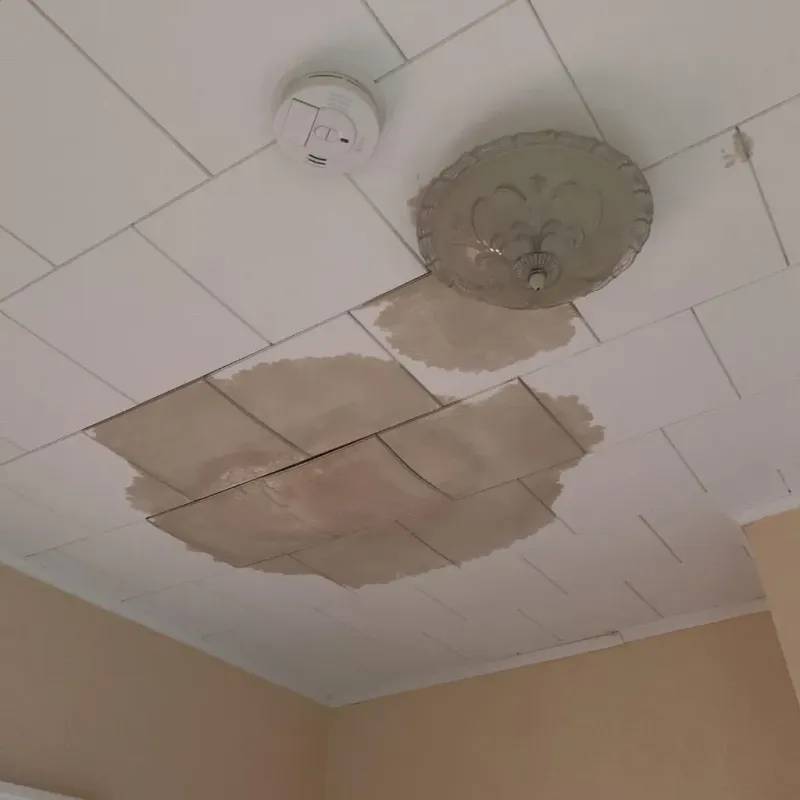 Ceiling Water Damage Repair in Howard City, MI