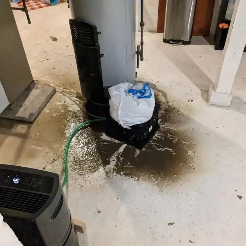 Sewage Backup Cleanup Service in Howard City, MI